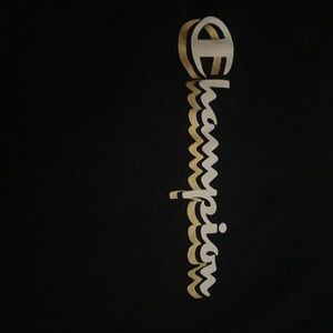 Champion hoodie